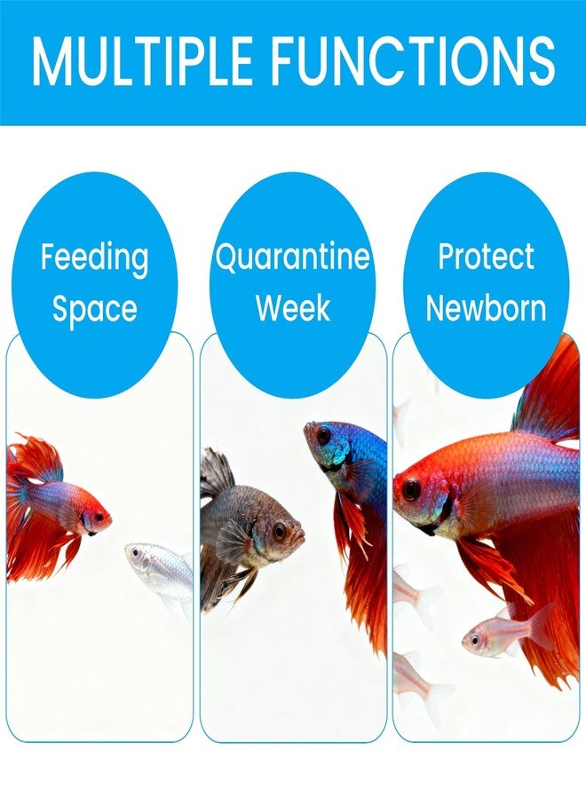 Nagpew 2 Pieces Breeder Box for Fish Tank, Floating Plastic Aquarium Isolation Box, Mesh Fish Nursery Separator Tank Hatchery Incubator for Shrimp, Betta, Clownfish, Guppy, Large 2-Piece Set - Image 4